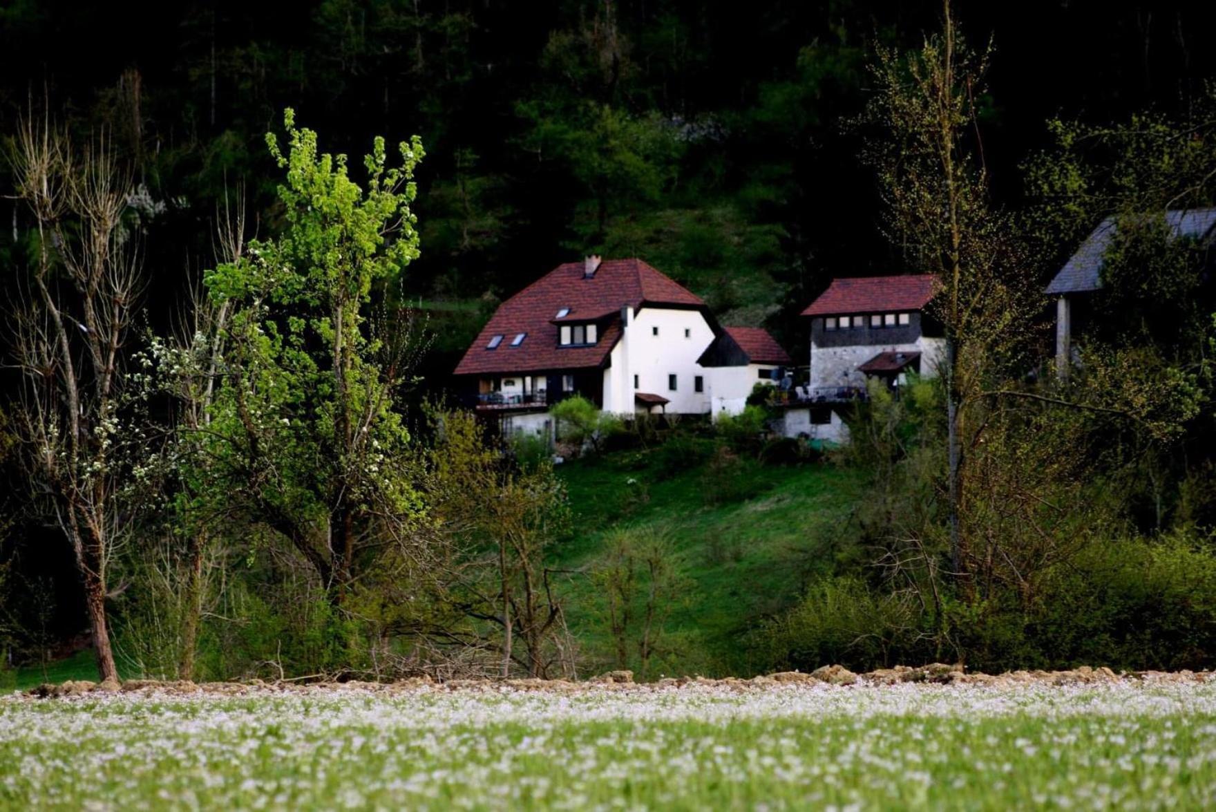 Apartment Sefic Planina  Eksteriør bilde